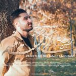دانلود آهنگ محسن اونیکزی بنام وقتی که دلتنگت میشم