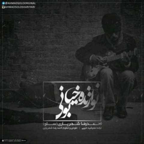 دانلود آهنگ احمد سلو به نام نوازنده خیابانی