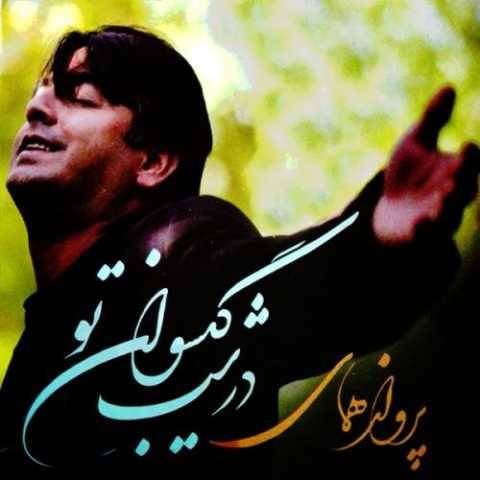 دانلود آهنگ پرواز همای به نام دیونه تر