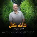 دانلود آهنگ احسان مهرزادفر بنام شاخه گل دانلود آهنگ احسان مهرزادفر بنام شاخه گل