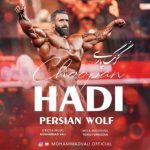 دانلود آهنگ محمد والی بنام گرگ پارسی