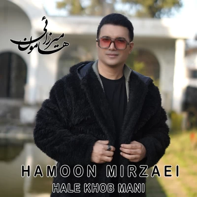 دانلود آهنگ هامون میرزائی به نام حال خوب منی