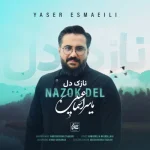 دانلود آهنگ یاسر اسماعیلی بنام نازک دل دانلود آهنگ یاسر اسماعیلی بنام نازک دل