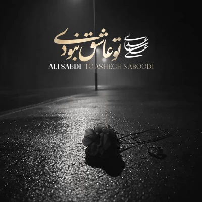 دانلود آهنگ علی ساعدی به نام تو عاشق نبودی