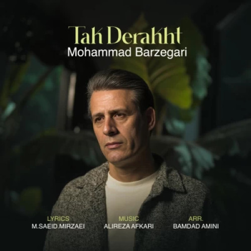 دانلود آهنگ محمد برزگری به نام تک درخت