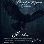 دانلود آهنگ سعید شهسواری (شهسوار) بنام پرنده مجنون