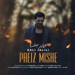 دانلود آهنگ صالی جلیلی بنام پاییز میشه