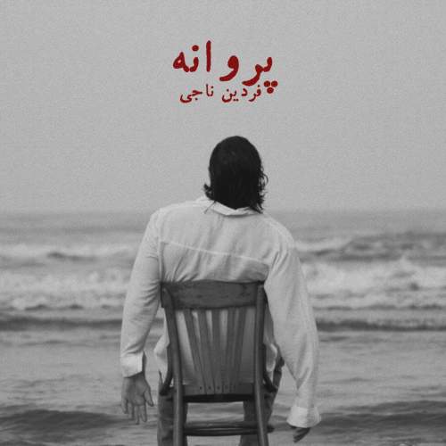 دانلود آهنگ فردین ناجی به نام پروانه