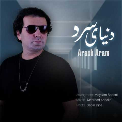 دانلود آهنگ آرش آرام به نام دنیای سرد