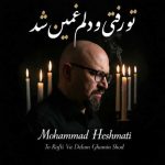 دانلود آهنگ محمد حشمتی بنام تو رفتی و دلم غمین شد