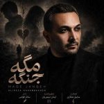 دانلود آهنگ علیرضا کرم بخش بنام مگه جنگه